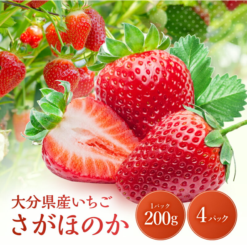 【先行予約・期間限定】大分県産いちご さがほのか 約 800g ( 200g×4パック ) | 苺 イチゴ いちご ベリー フルーツ 果物 くだもの 九州産 大分県産 国産 産地直送 大分県 中津市 送料無料【発送は2026年2月15日～2026年3月末】
