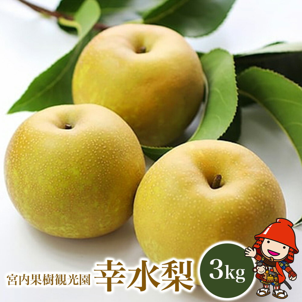 【先行予約】宮内果樹観光園の幸水梨 3kg 6玉〜11玉 数量限定 産地直送 梨 なし 果物 くだもの フルーツ 大分県産 九州産 中津市 国産 送料無料【発送は2026年8月8日〜2026年8月16日頃までの予定】