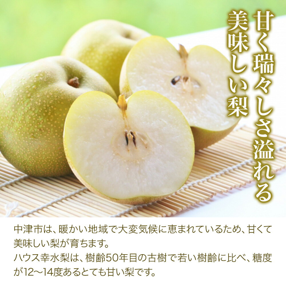 【ふるさと納税】【先行予約】宮内果樹観光園の幸水梨 3kg 6玉〜11玉 数量限定 産地直送 梨 なし 果物 くだもの フルーツ 大分県産 九州産 中津市 国産 送料無料【発送は2026年8月8日〜2026年8月16日頃までの予定】 サムネイル2