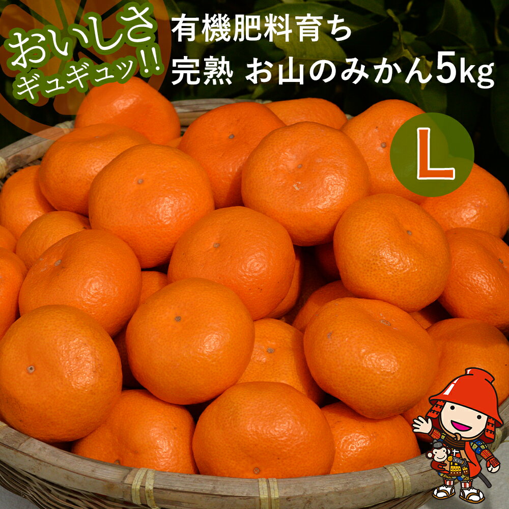 【先行予約】【数量限定】大久保農場の有機肥料育ち完熟 お山のみかん 5kg(L)+3個 (傷み補償分) | フルーツ 果物 くだもの 蜜柑 ミカン みかん 柑橘 柑橘類 温州みかん 産地直送 国産 大分県 中津市【発送は2025年11月中旬～2026年2月下旬の予定】