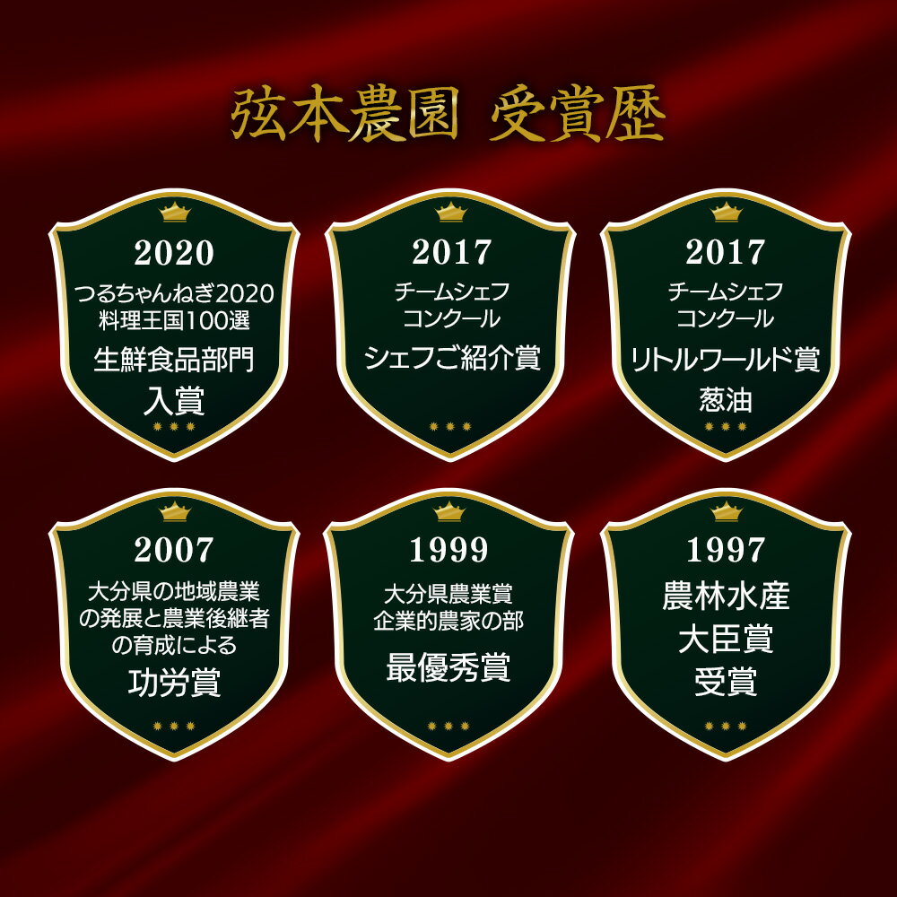 【ふるさと納税】弦本農園のこだわりのつるちゃんねぎ 80g×10束 | 葱 ねぎ ネギ 小葱 小ねぎ 小ネギ 薬味 大分県 中津市 国産 - 画像3