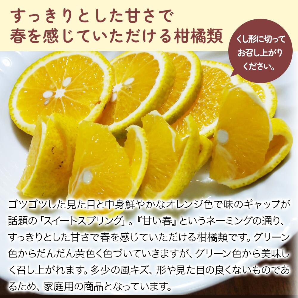 【ふるさと納税】大分県産 スイートスプリング 約5kg (補償分含む) | いわき農園 柑橘類 柑橘 ミカン みかん 温州みかん 八朔 はっさく 家庭用 数量限定 産地直送 果物 くだもの フルーツ ギフト 大分県産 国産 大分県 中津市【発送は2025年12月中旬～2026年2月頃の予定】 サムネイル2