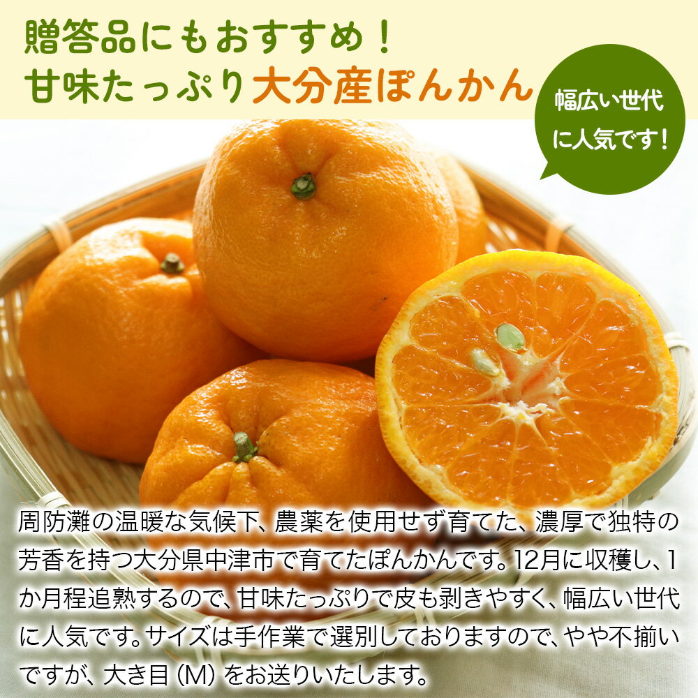 【ふるさと納税】＜先行予約＞大分産ぽんかん 約5kg (補償分含む）いわき農園 | 柑橘 ポンカン 椪柑 ミカン みかん 温州みかん 数量限定 産地直送 くだもの フルーツ ギフト 大分県産 九州産 中津市【発送は2026年1月10日～2026年2月5日までの予定】 サムネイル2
