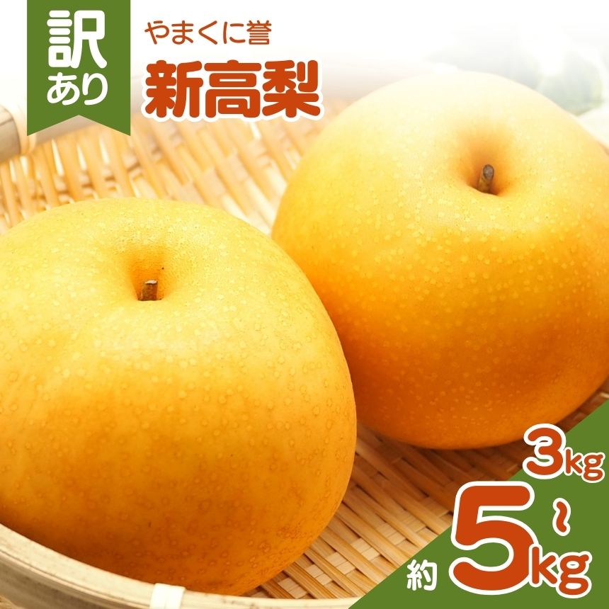 やまくに誉（新高梨） 訳あり 選べる 内容量 約 3kg or 5kg | フルーツ 果物 くだもの 梨 なし ナシ 和梨 新高 3キロ 5キロ 産地直送 九州産 国産 九州 大分県 中津市