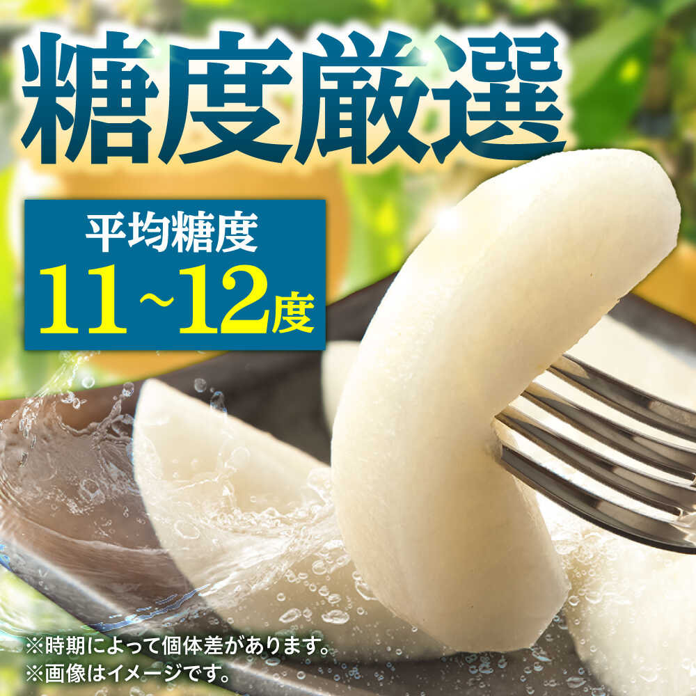 【ふるさと納税】【先行予約・26年8月以降発送】日田梨 豊水 5kg 日田市 / 日田梨協同組合　なし 梨 日田 和梨 果物 くだもの 果汁 フルーツ デザート 旬 豊水 [ARBB002] - 画像2