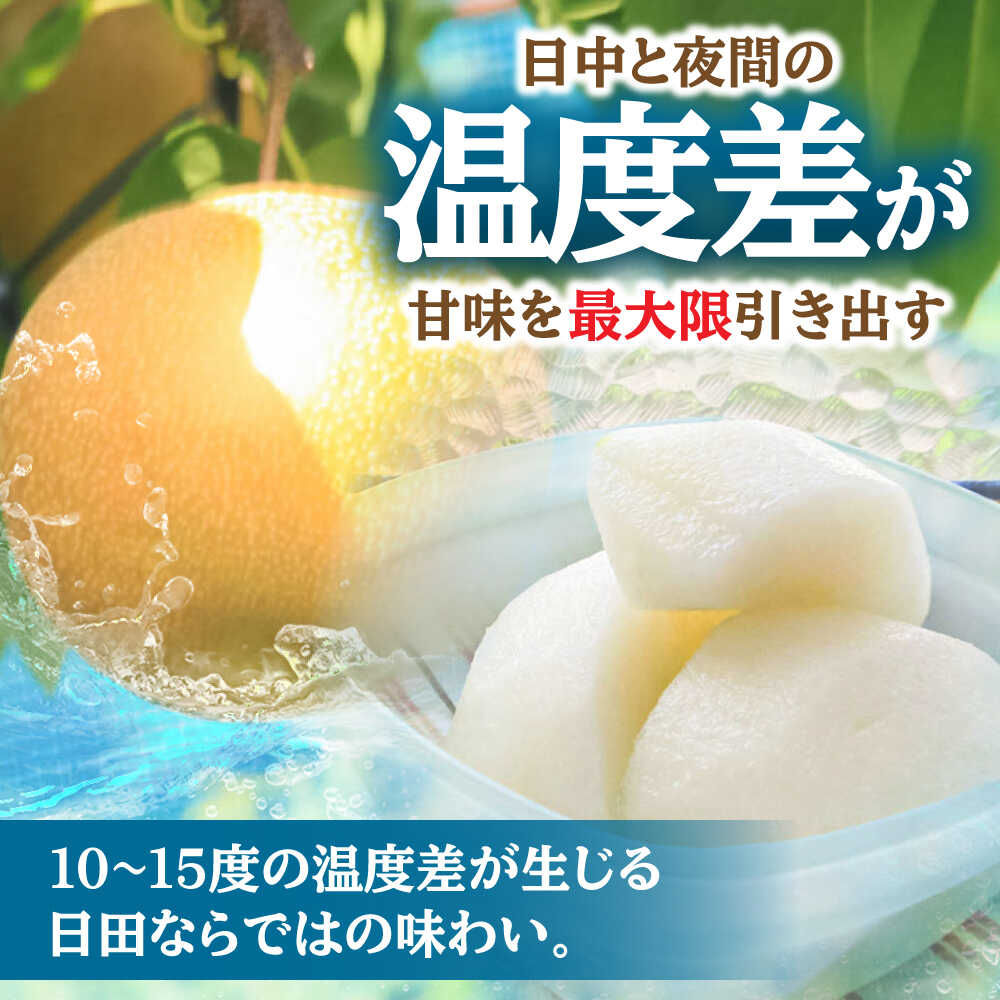 【ふるさと納税】【先行予約・26年8月以降発送】日田梨 豊水 5kg 日田市 / 日田梨協同組合　なし 梨 日田 和梨 果物 くだもの 果汁 フルーツ デザート 旬 豊水 [ARBB002] - 画像3