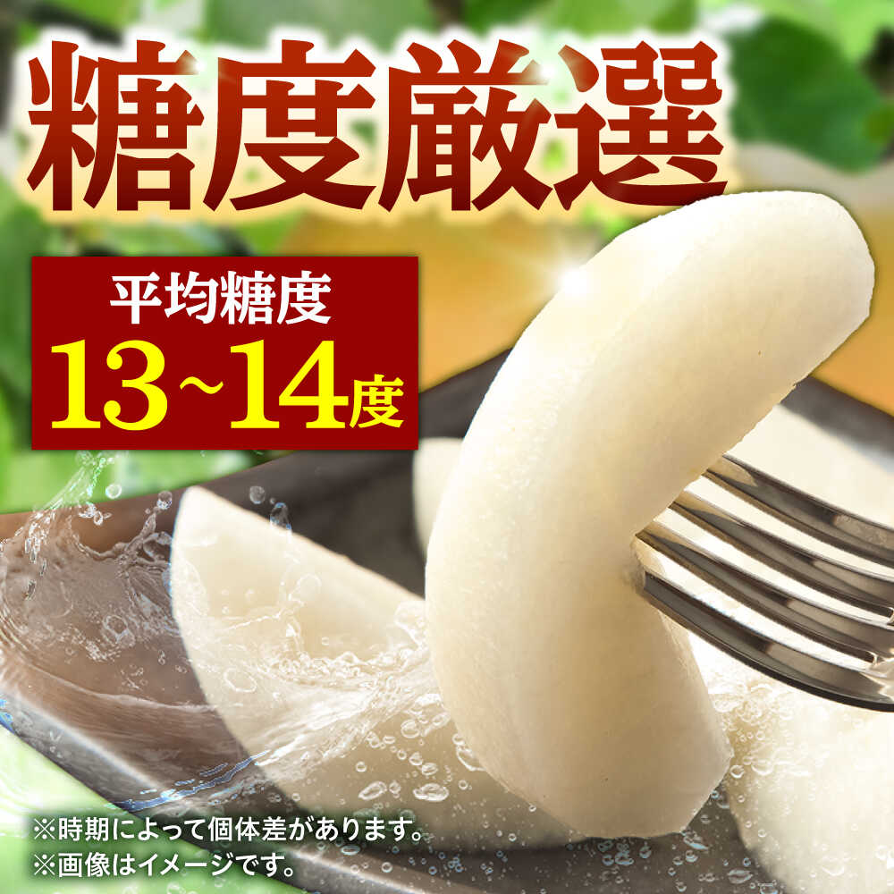 【ふるさと納税】【先行予約・26年9月以降発送】日田梨 あきづき 3kg 日田市 / 日田梨協同組合 なし 梨 日田 和梨 果物 くだもの 果汁 フルーツ デザート 旬 梨 なし あきづき 大分 [ARBB003] - 画像2