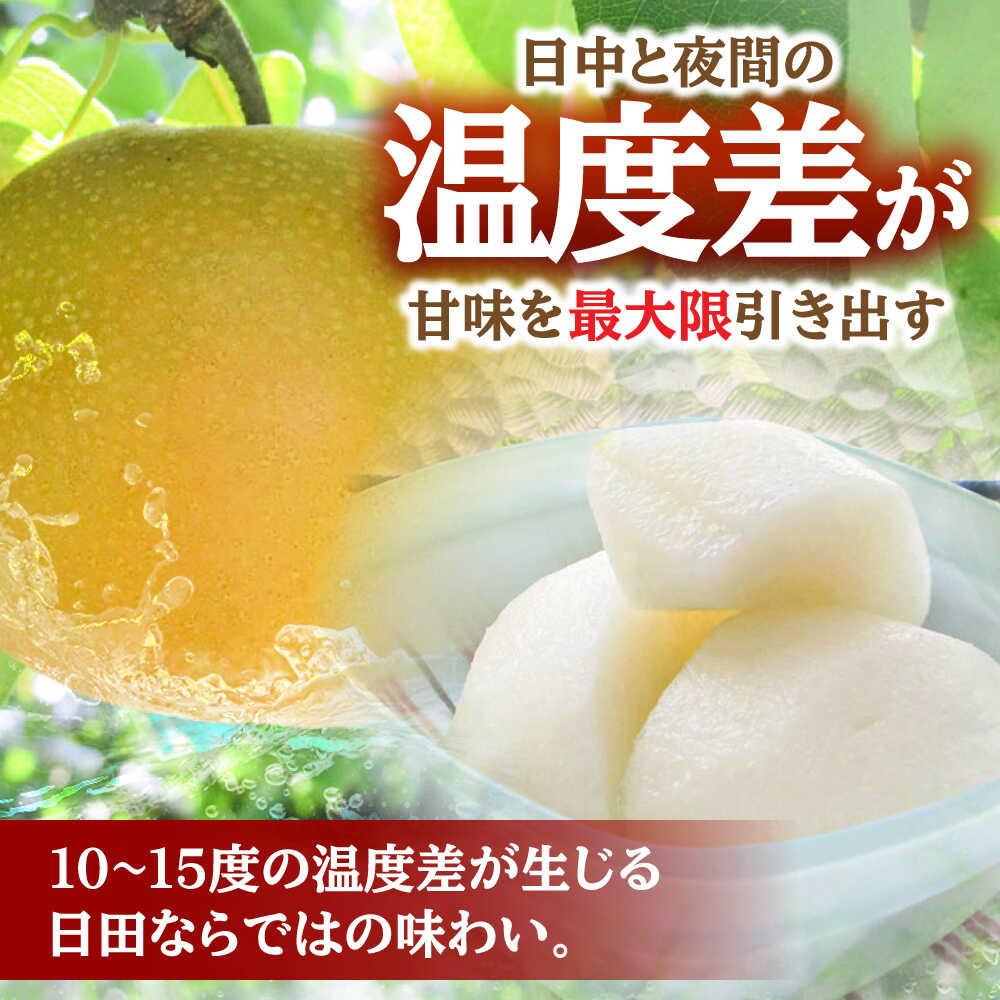 【ふるさと納税】【先行予約・26年9月以降発送】日田梨 あきづき 3kg 日田市 / 日田梨協同組合 なし 梨 日田 和梨 果物 くだもの 果汁 フルーツ デザート 旬 梨 なし あきづき 大分 [ARBB003] - 画像3