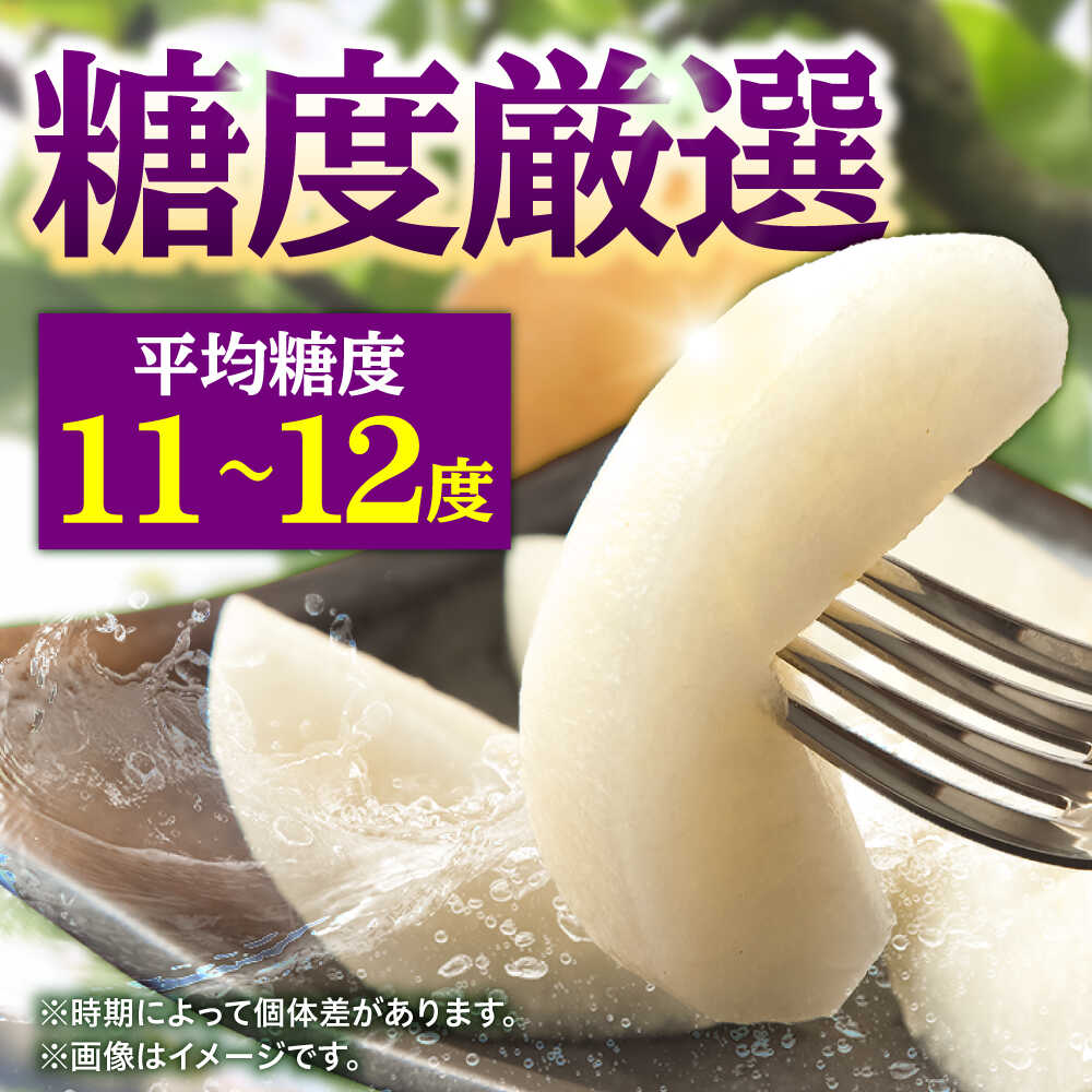【ふるさと納税】【先行予約・26年10月以降発送】日田梨 新興 5kg 日田市 / 日田梨協同組合 梨 なし ナシ 新興 フルーツ 果物 旬 デザート 旬の梨 ひた梨 [ARBB005] - 画像2