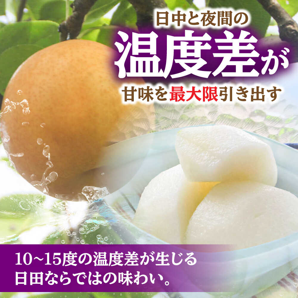 【ふるさと納税】【先行予約・26年10月以降発送】日田梨 新興 5kg 日田市 / 日田梨協同組合 梨 なし ナシ 新興 フルーツ 果物 旬 デザート 旬の梨 ひた梨 [ARBB005] - 画像3