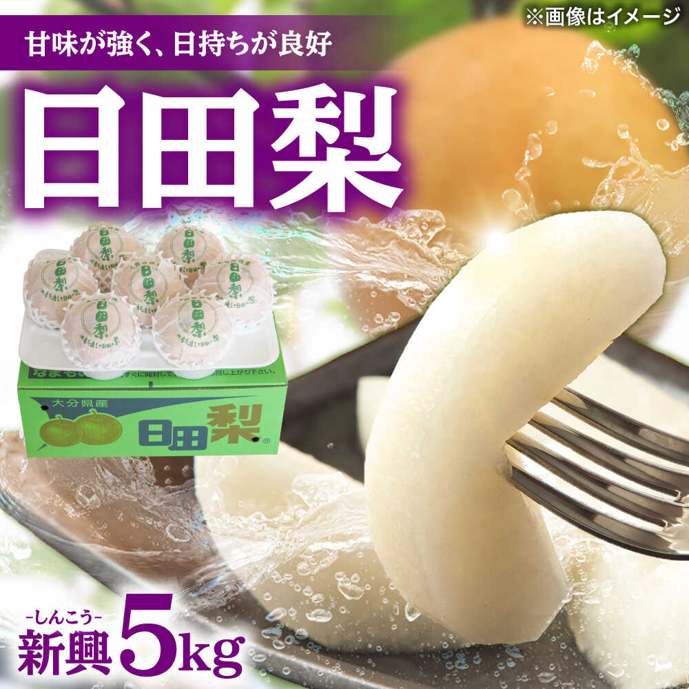 【先行予約・26年10月以降発送】日田梨 新興 5kg 日田市 / 日田梨協同組合 梨 なし ナシ 新興 フルーツ 果物 旬 デザート 旬の梨 ひた梨 [ARBB005]
