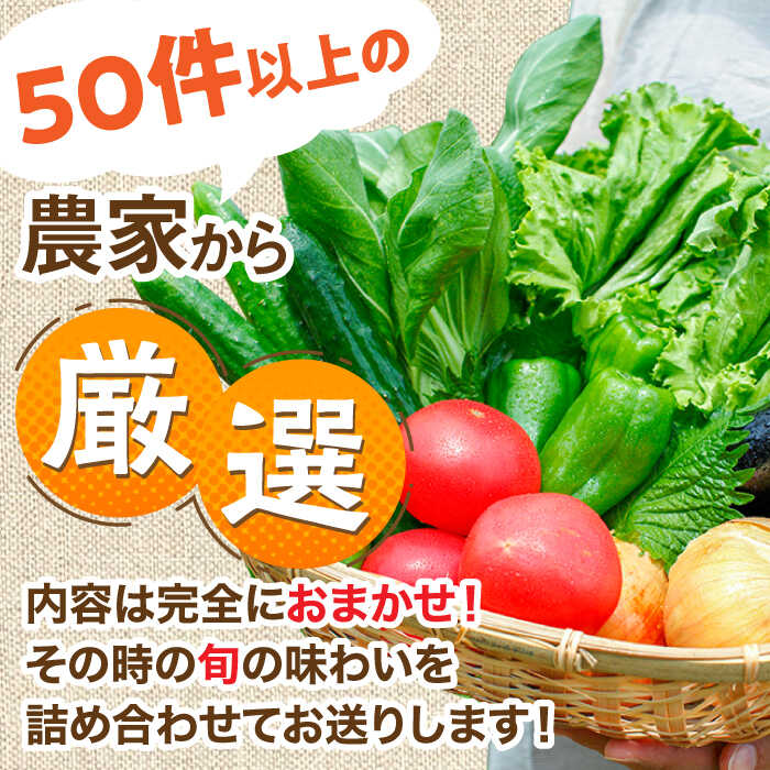 【ふるさと納税】農家セレクト！特別栽培 日田の厳選食材 詰め合わせ 日田市 / 自然工房Mori 野菜 果物 米 産地直送 新鮮 セット　野菜 米 くだもの [ARBR001] サムネイル2