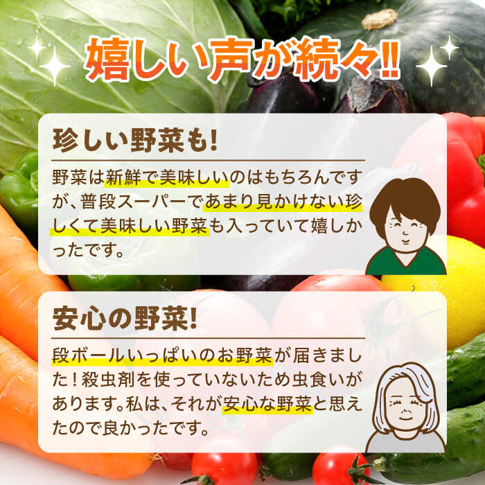 【ふるさと納税】【全6回定期便】農家セレクト！特別栽培 日田の厳選食材 詰め合わせ 日田市 / 自然工房Mori 野菜 果物 米 産地直送 新鮮 セット　野菜 米 くだもの [ARBR003] - 画像3