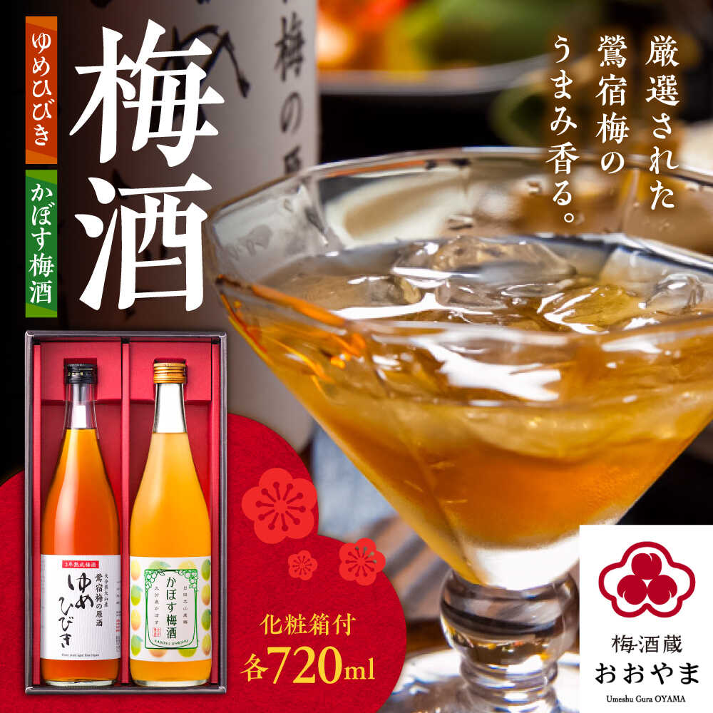 梅酒蔵おおやま 梅酒セット(梅酒・かぼす梅酒) 各720ml　日田市 / 株式会社おおやま夢工房 梅酒 梅 ウメ[ARCW013]