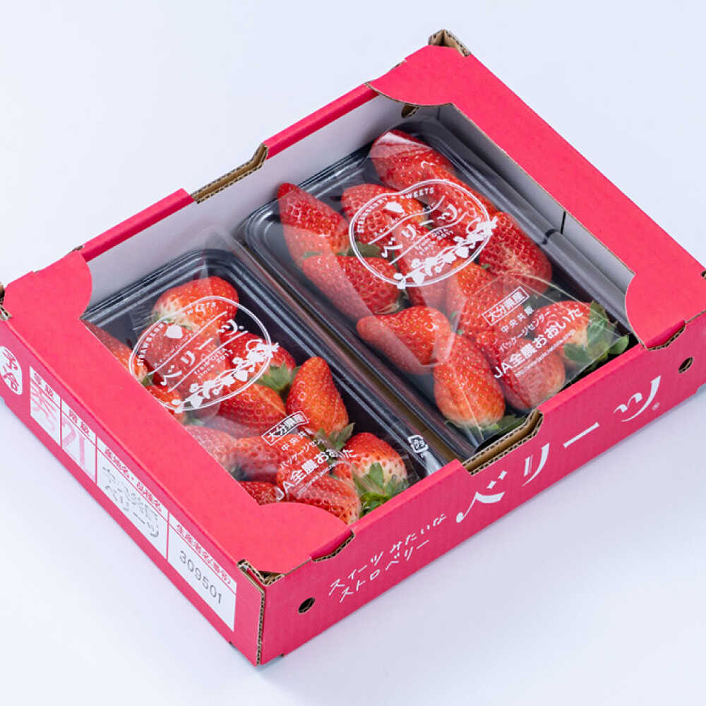 【ふるさと納税】【先行予約・26年2月以降発送】大分産ベリーツ(約250g×6パック)　日田市 / 南国フルーツ株式会社 ベリーツ イチゴ 苺 いちご フルーツ[ARET011] サムネイル3