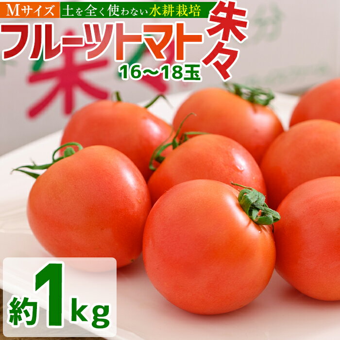 フルーツトマト 朱々 Mサイズ (計1kg・16-18玉) M 高糖度 糖度 フルーツトマト トマト 野菜 サラダ 大分県 佐伯市 九州産 国産 大分県 佐伯市【CH63】【サニープレイス】