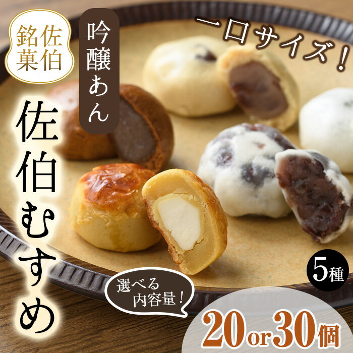 ＜内容量が選べる＞ひとくちまんじゅう 佐伯むすめ (計20個・計30個/全5種) 饅頭 ひとくち 一口 薄皮 みそ 黒糖 抹茶 チーズ お菓子 スイーツ おやつ 焼き菓子 和菓子 詰め合わせ 個装 常温 大分県 佐伯市【AG95・AG96】【お菓子のウメダ】