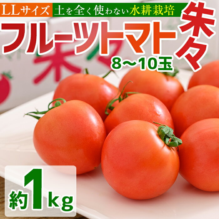 フルーツトマト 朱々 LLサイズ (計1kg・8-10玉) LL 高糖度 糖度 フルーツトマト トマト 野菜 サラダ 大分県 佐伯市 九州産 国産 大分県 佐伯市【CH61】【サニープレイス】