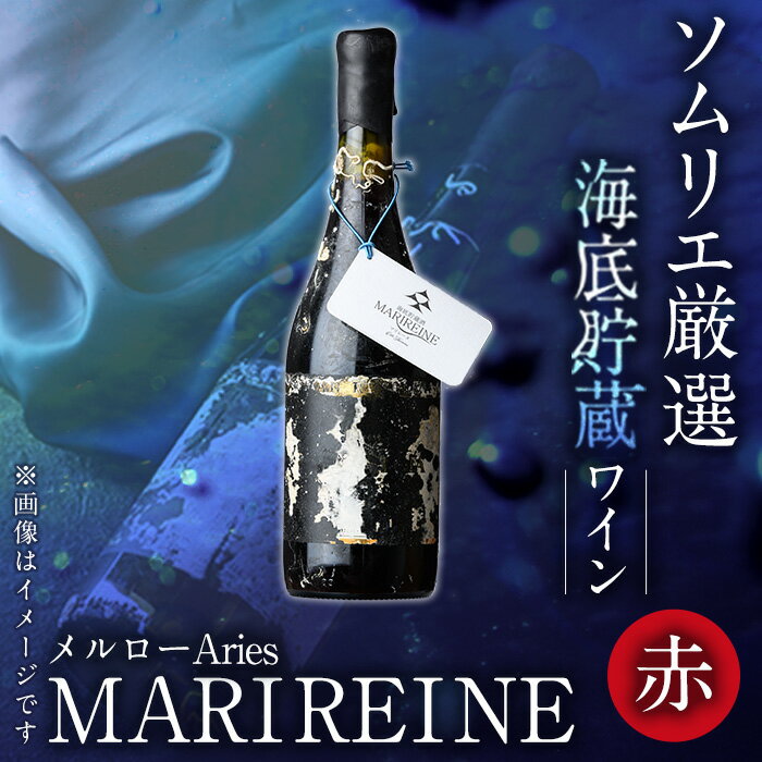 海底貯蔵ワイン 赤 MARIREINE メルローAries2023 (720ml・1本) ワイン 赤ワイン 酒 パーティー 海底酒 熟成 大分県 佐伯市【FP030】【フルタ酒店】