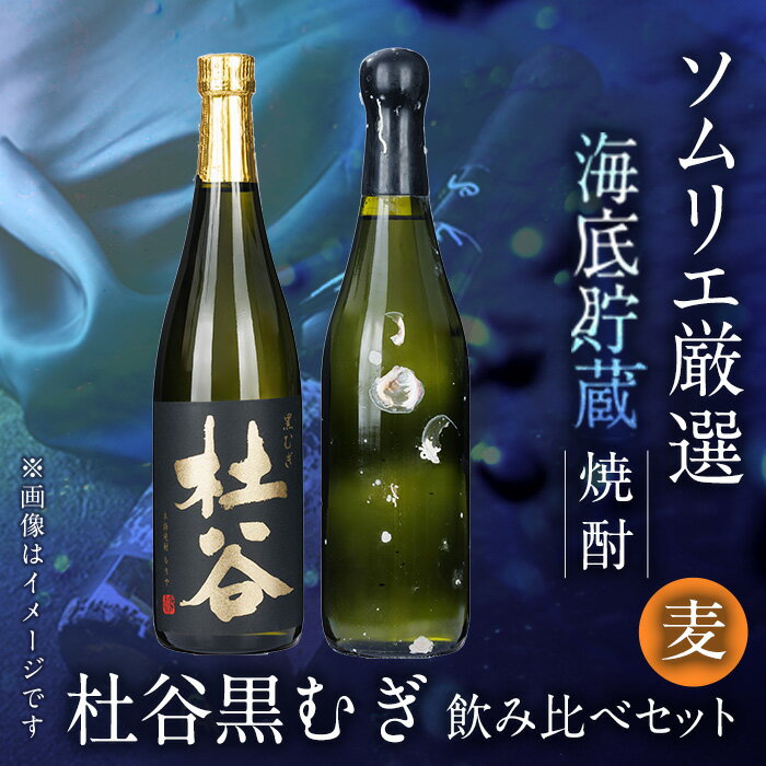 海底貯蔵 麦焼酎 ソムリエ厳選 飲み比べセット 杜谷黒むぎ (720ml・各1本) 大分県産 国産 焼酎 麦 酒 25度 糖質ゼロ 海底酒 熟成 大分県 佐伯市【FP031】【フルタ酒店】