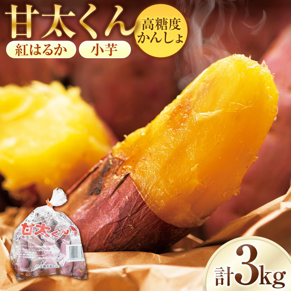【先行予約】めっちゃ甘い！高糖度かんしょ「甘太くん」 （500g×6袋）計3kg　さつまいも　紅はるか べにはるか サイズ：S～3S サツマイモ さつま芋 小芋 野菜 焼き芋 スイーツ おやつ 食品 大分県産 国産 九州 大分県 臼杵市 送料無料