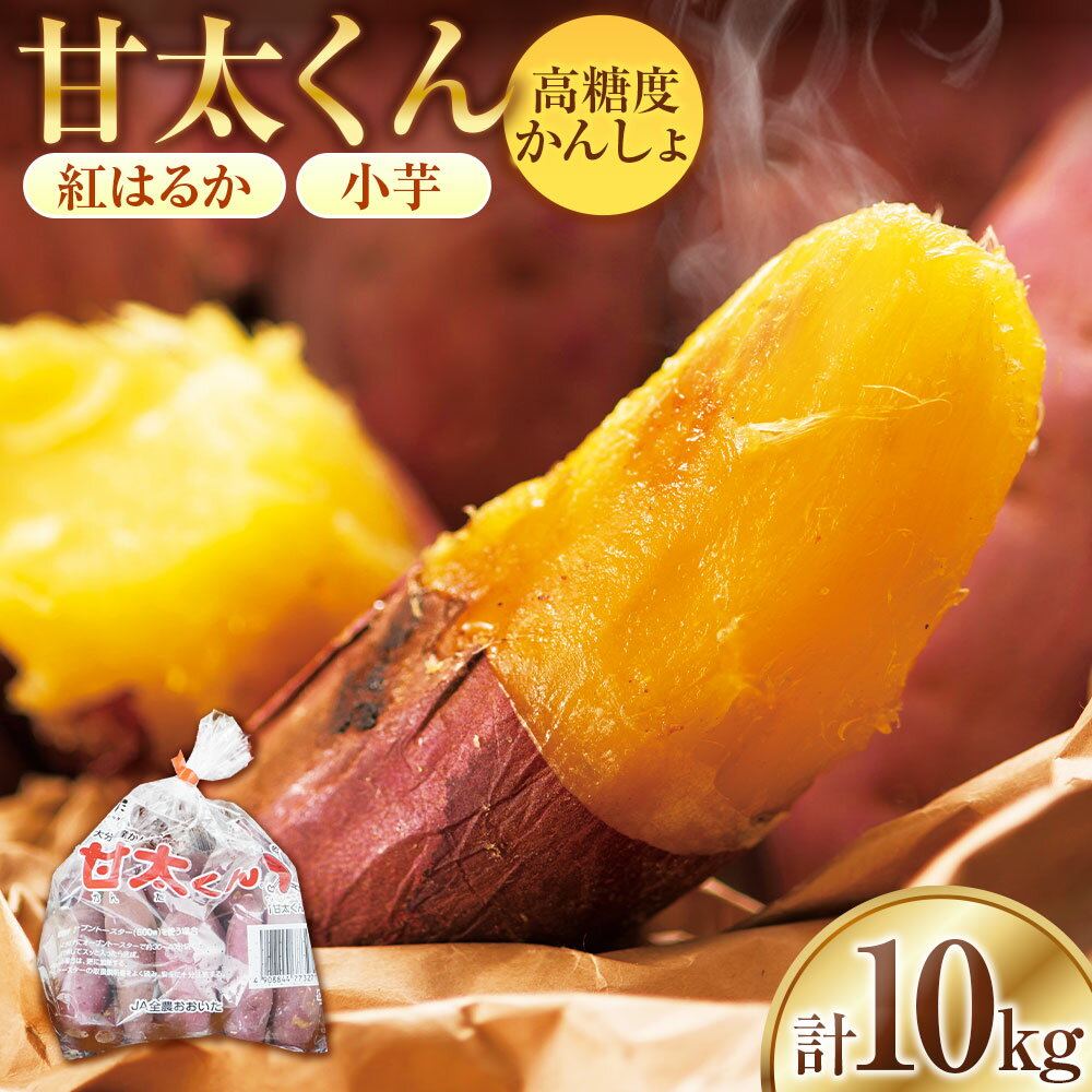 【先行予約】めっちゃ甘い！高糖度かんしょ「甘太くん」 （500g×20袋）計10kg　さつまいも　紅はるか | べにはるか サツマイモ さつま芋 小芋 野菜 焼き芋 スイーツ おやつ 大分県産 国産 九州 大分県 臼杵市 送料無料