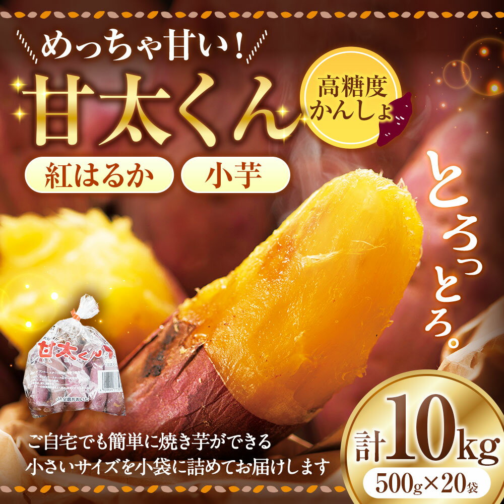 【ふるさと納税】【先行予約】めっちゃ甘い！高糖度かんしょ「甘太くん」 （500g×20袋）計10kg　さつまいも　紅はるか | べにはるか サツマイモ さつま芋 小芋 野菜 焼き芋 スイーツ おやつ 大分県産 国産 九州 大分県 臼杵市 送料無料 - 画像2