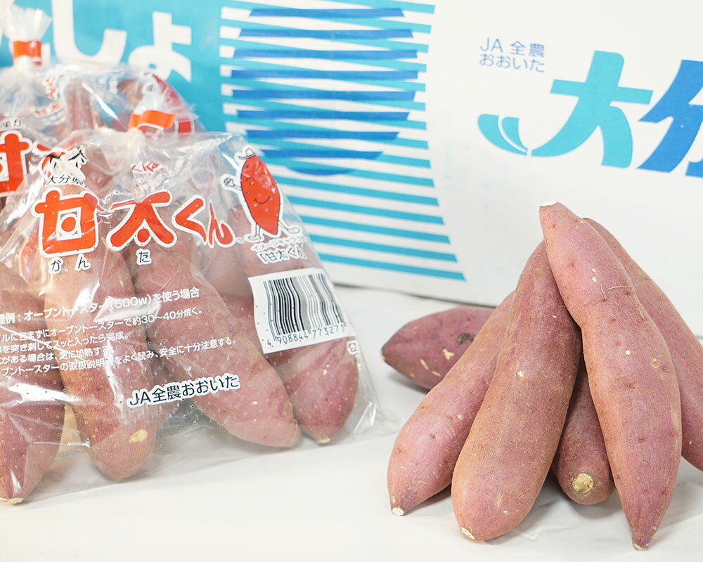 【ふるさと納税】【先行予約】めっちゃ甘い！高糖度かんしょ「甘太くん」 （500g×20袋）計10kg　さつまいも　紅はるか | べにはるか サツマイモ さつま芋 小芋 野菜 焼き芋 スイーツ おやつ 大分県産 国産 九州 大分県 臼杵市 送料無料 - 画像3