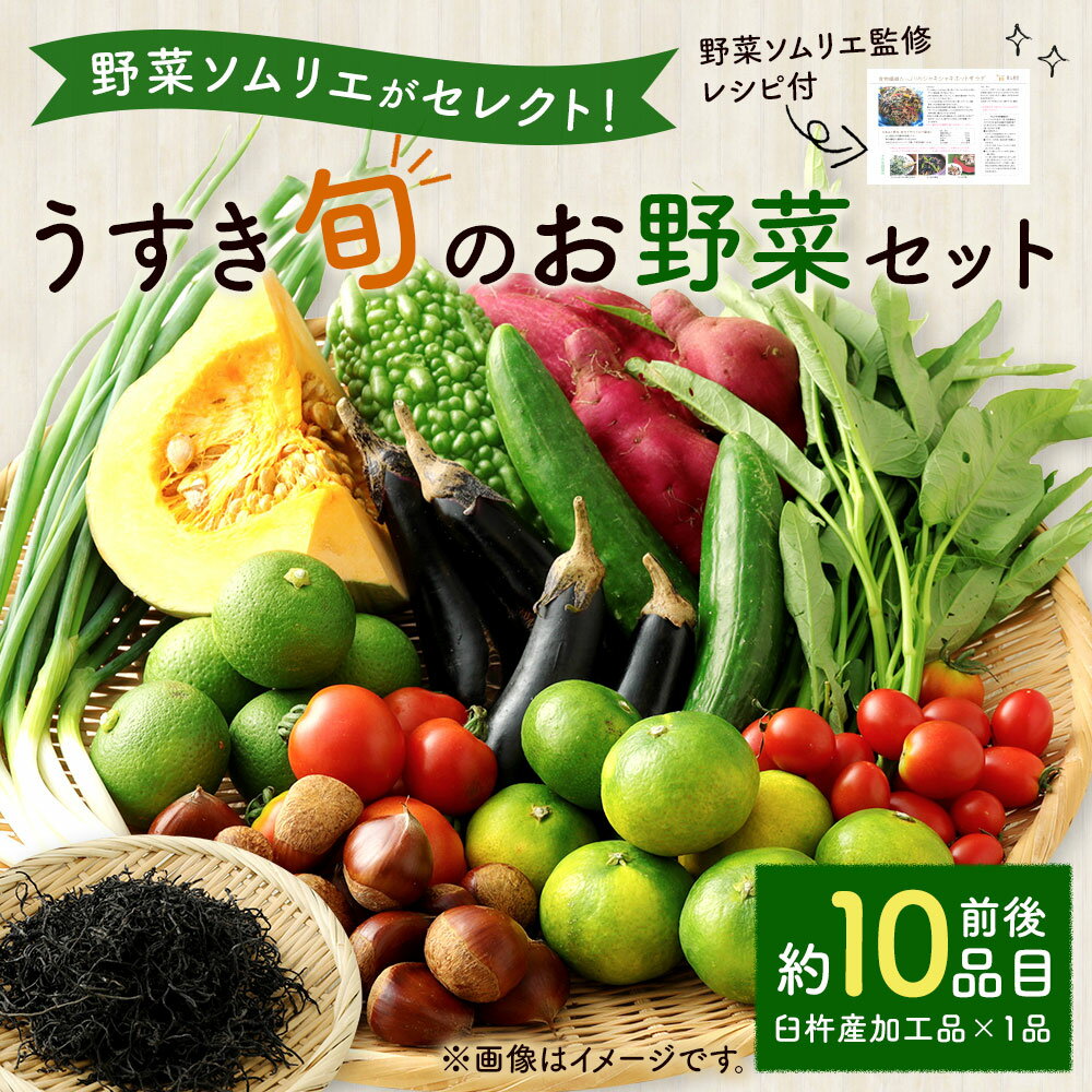 【ふるさと納税】野菜ソムリエがセレクト!「うすき旬のお野菜セット」 約10品目前後 加工品1品 レシピ付き ほんまもん農産物 野菜 果物 お任せ 詰め合わせ 九州産 大分県 臼杵市産 送料無料 - 画像2
