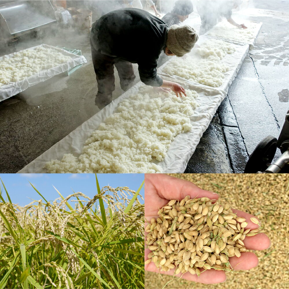 【ふるさと納税】IS JAPAN COOL? 特別純米酒無濾過生原酒「USUKI」720ml×2本 アルコール 17度 純米酒 無濾過 無濾過生原酒 お酒 地酒 若水 日本酒 純米酒 国産 大分県 臼杵市 送料無料 サムネイル3