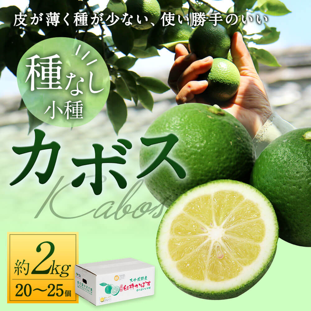 【ふるさと納税】種なし(小種) カボス 約2kg 20〜25個 種無し かぼす 果物 フルーツ 料理 柑橘 九州産 大分県産 国産 送料無料 サムネイル2
