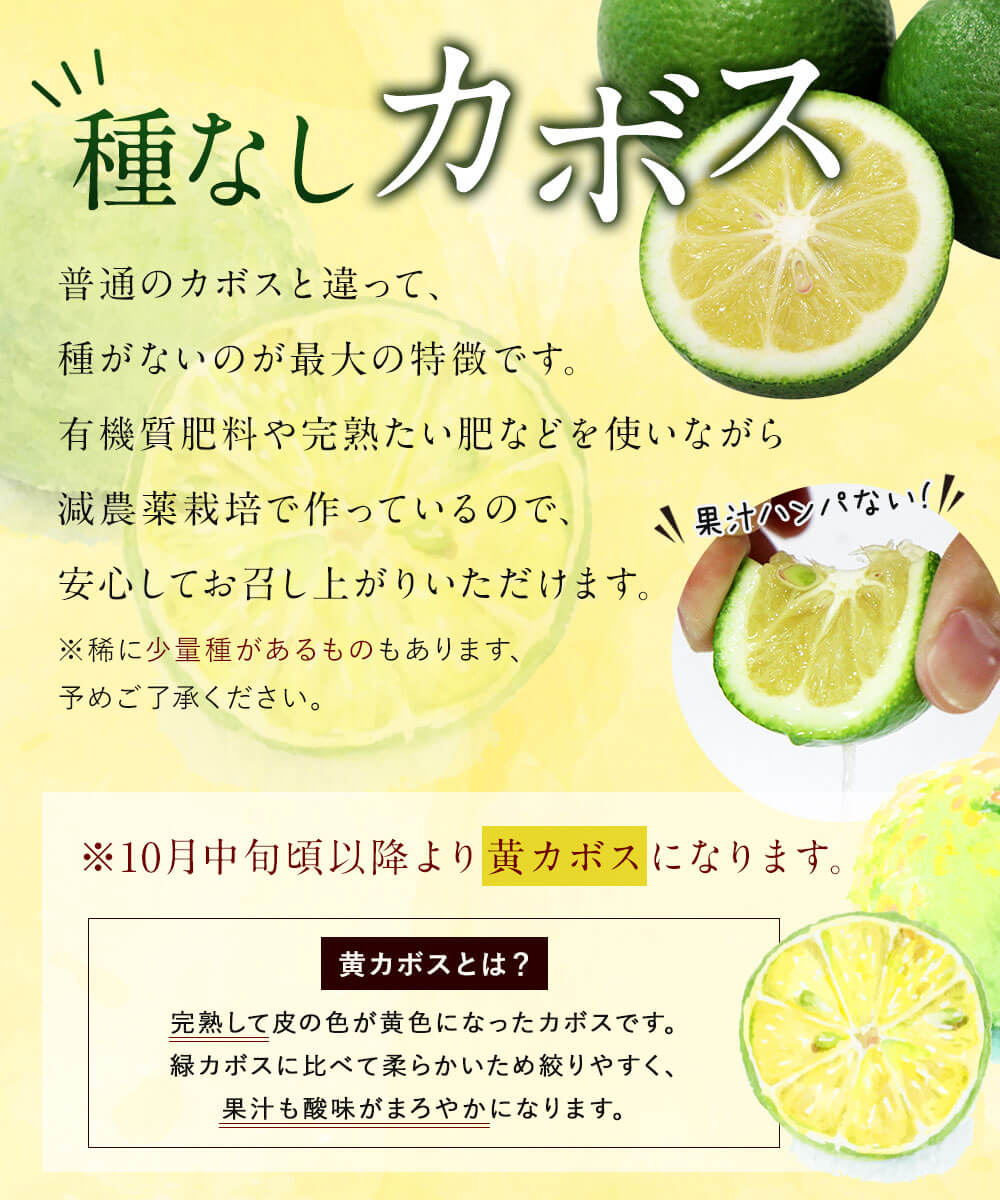 【ふるさと納税】種なし(小種) カボス 約2kg 20〜25個 種無し かぼす 果物 フルーツ 料理 柑橘 九州産 大分県産 国産 送料無料 サムネイル3