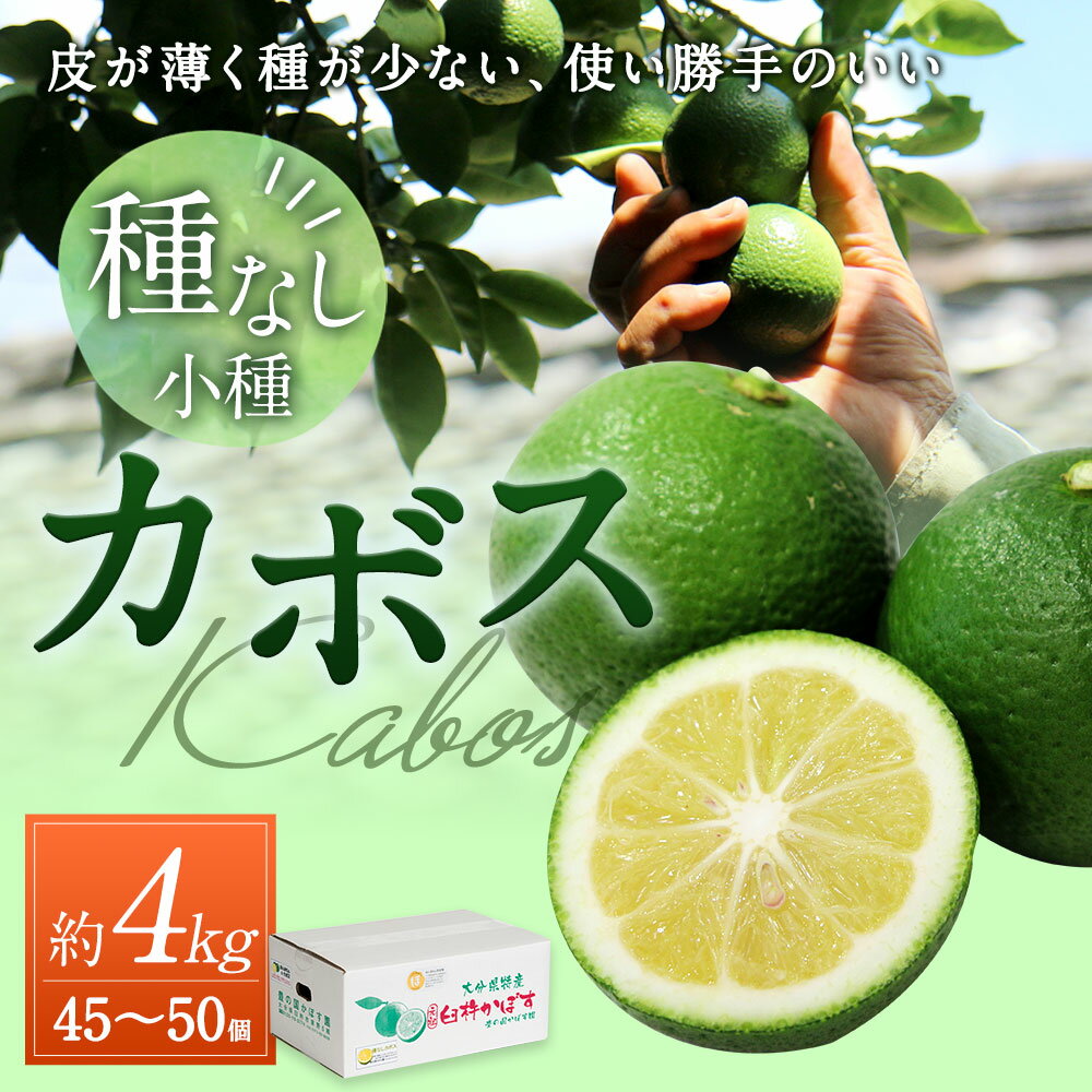 【ふるさと納税】種無し（小種）かぼす 約4kg 45～50個 種無し カボス 果物 フルーツ 料理 柑橘 九州産 大分県産 国産 送料無料 サムネイル2