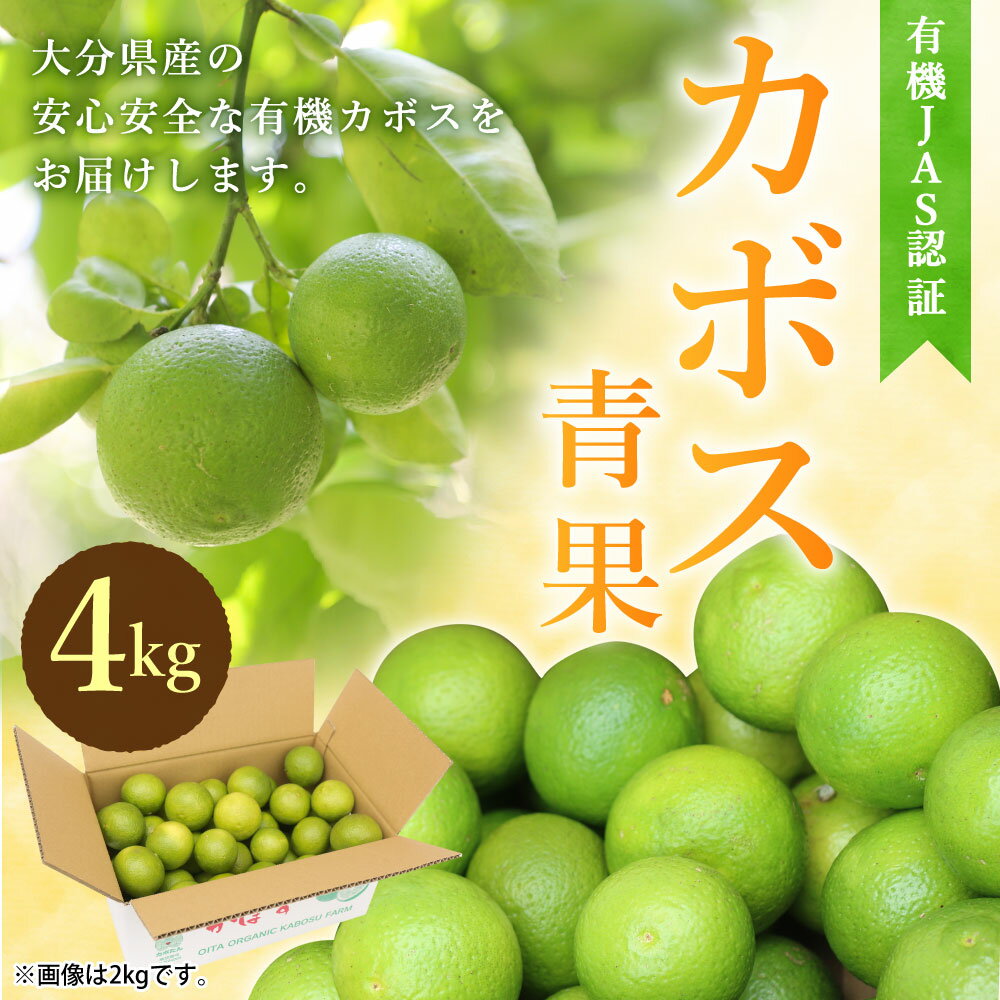 【ふるさと納税】有機JAS認証 カボス青果 4kg 1箱 かぼす 青果 カボス 黄カボス 果物 くだもの フルーツ 果実 有機栽培 九州産 国産 大分県産 送料無料 サムネイル2