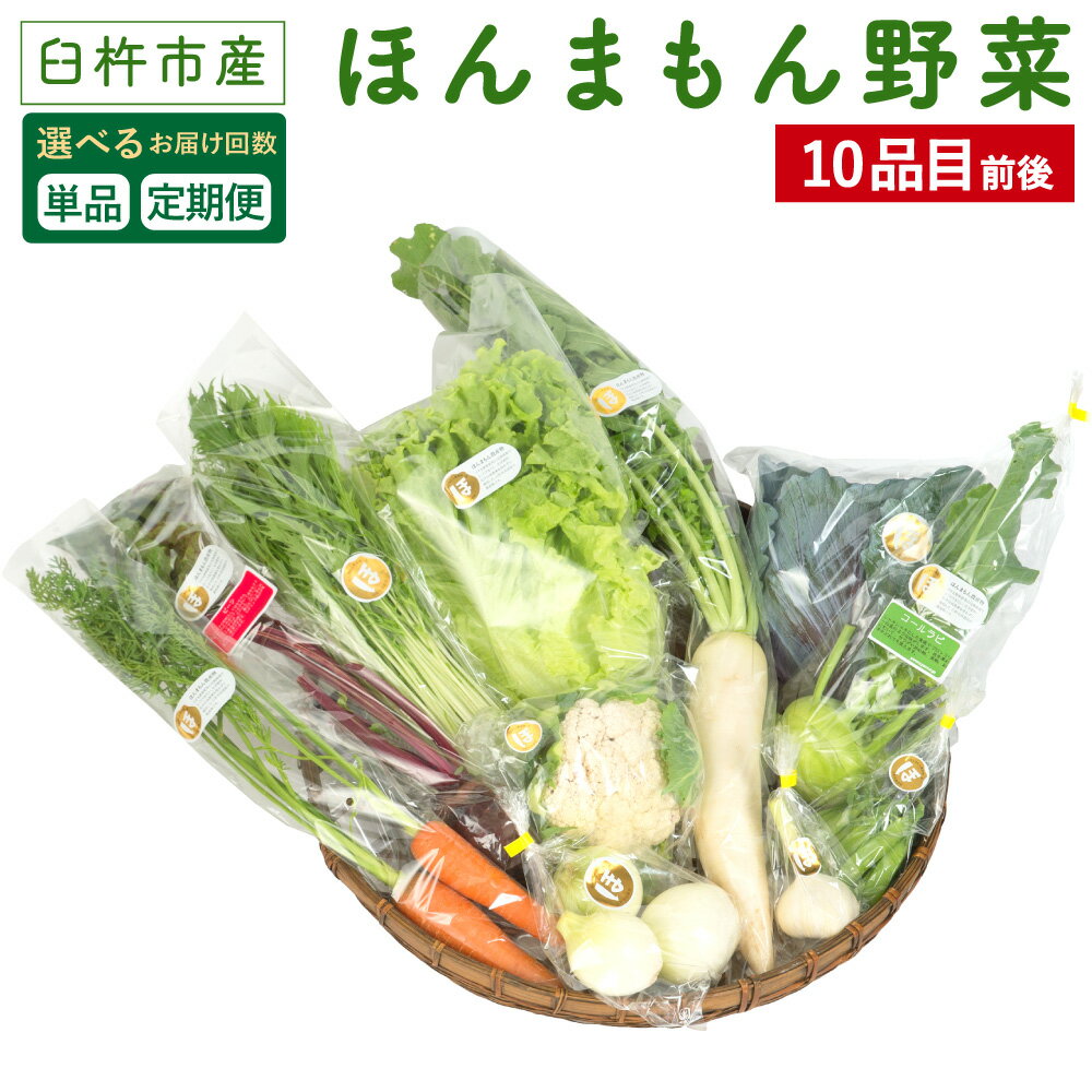 【選べるお届け回数 1回 3回 6回 12回】ほんまもん野菜 10品目前後 単品 または 定期便 野菜 セット 詰め合わせ 旬 栽培期間中化学合成農薬・化学肥料不使用 臼杵市産 九州産 国産 送料無料