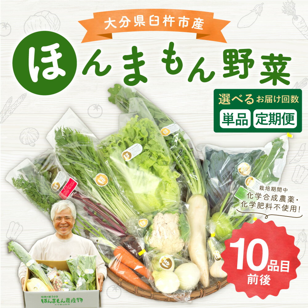 【ふるさと納税】【選べるお届け回数 1回 3回 6回 12回】ほんまもん野菜 10品目前後 単品 または 定期便 野菜 セット 詰め合わせ 旬 栽培期間中化学合成農薬・化学肥料不使用 臼杵市産 九州産 国産 送料無料 サムネイル2