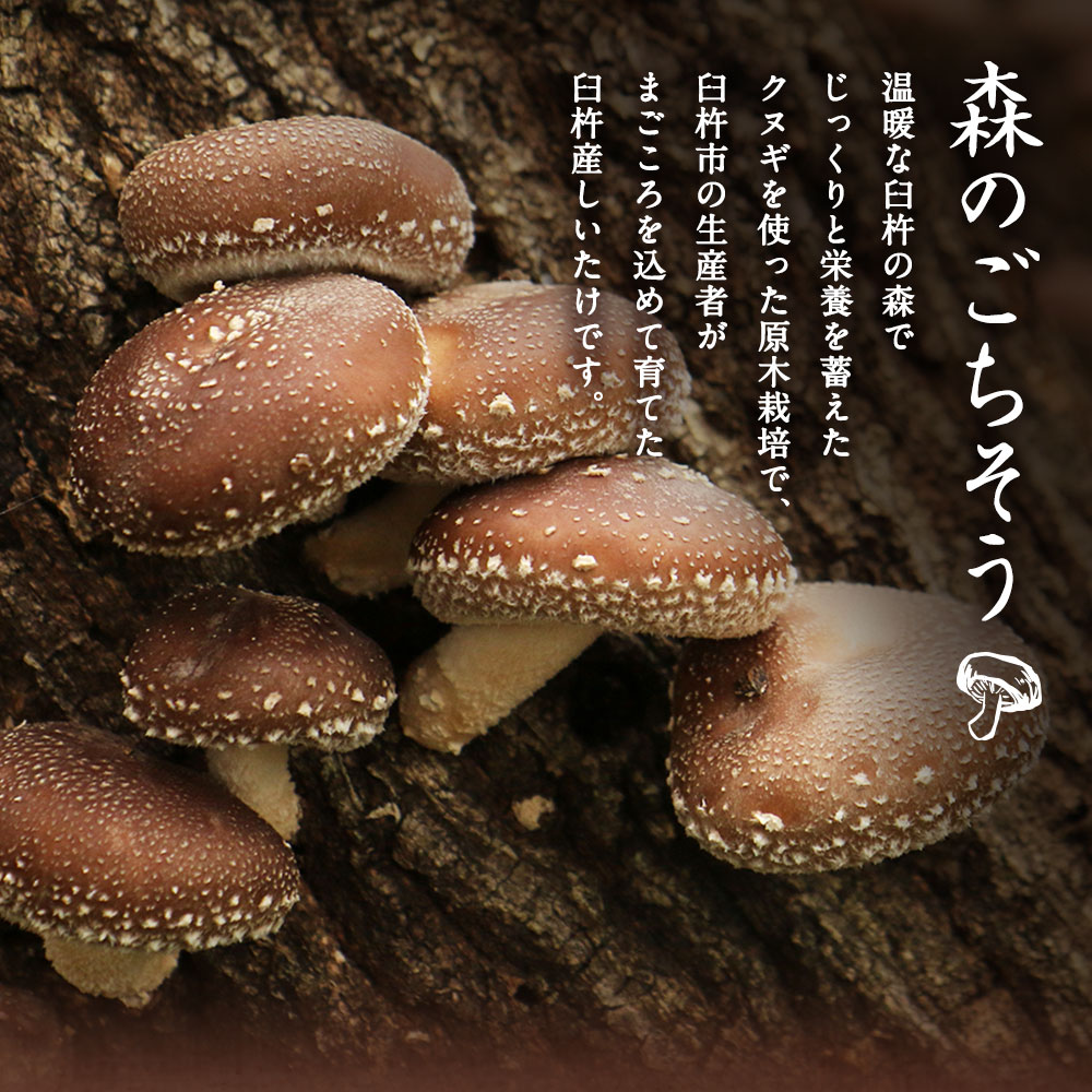 【ふるさと納税】臼杵産 ふるさと 乾しいたけ Bセット（計480g）3袋 小粒どんこ こうこ どんこ 椎茸 しいたけ シイタケ きのこ 干ししいたけ 原木栽培 産地直送 国産 九州産 大分県 臼杵市 送料無料 - 画像3