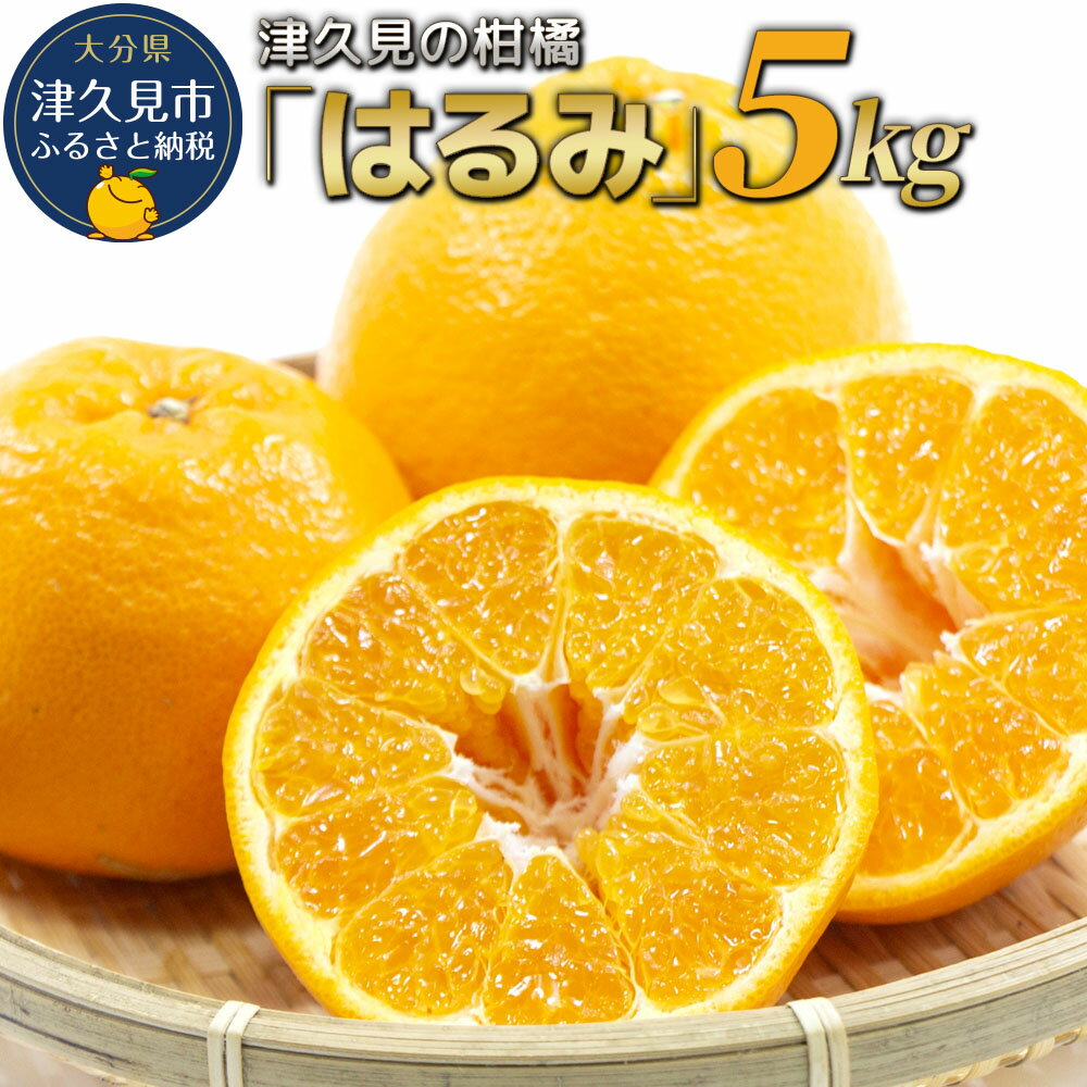 【先行予約】津久見のみかん はるみ 5kg ミカン 蜜柑 オレンジ 果実 旬のフルーツ 大分県産 九州産 津久見市 国産 送料無料【2026年2月10日~2026年2月28日まで順次出荷】