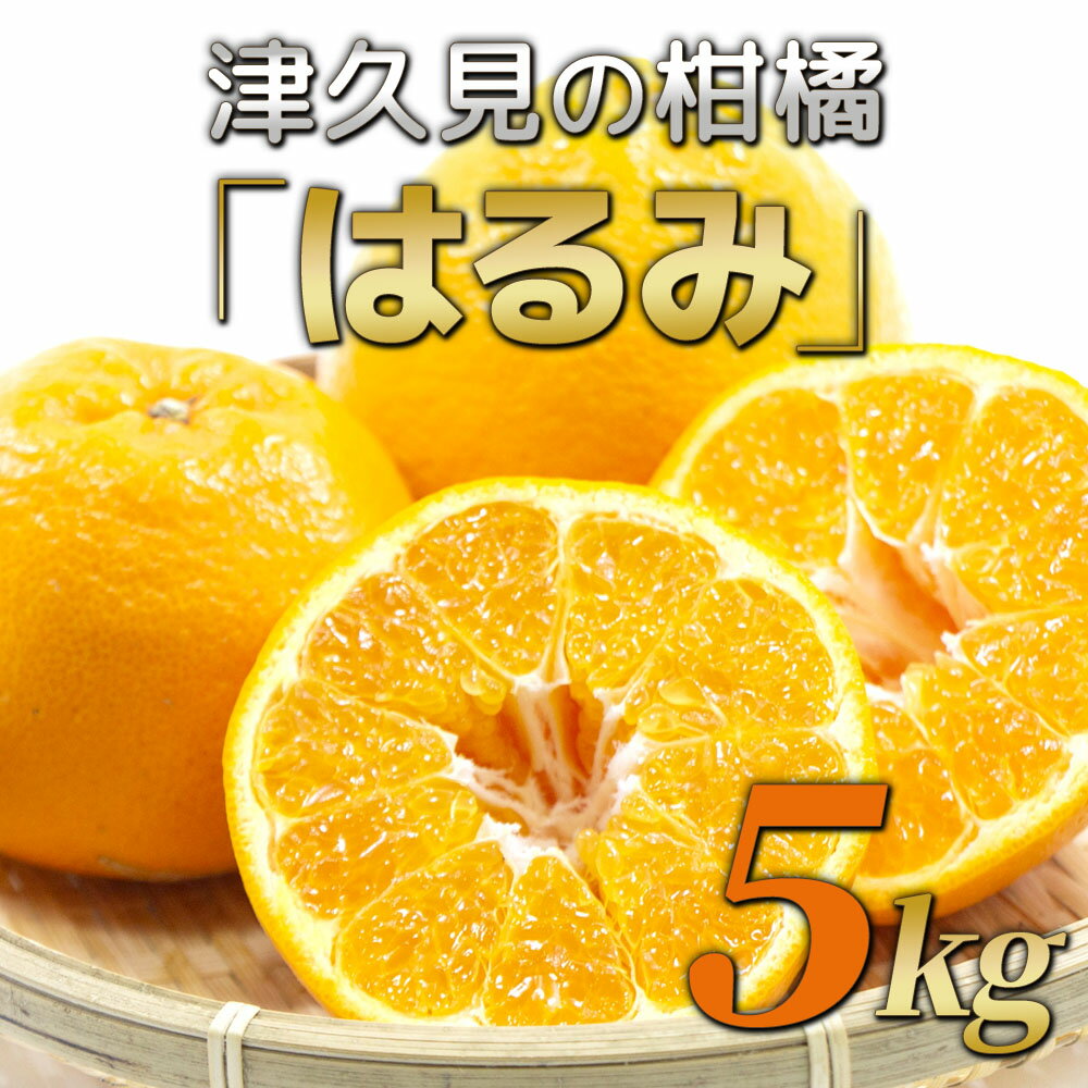 【ふるさと納税】【先行予約】津久見のみかん はるみ 5kg ミカン 蜜柑 オレンジ 果実 旬のフルーツ 大分県産 九州産 津久見市 国産 送料無料【2026年2月10日~2026年2月28日まで順次出荷】 サムネイル2