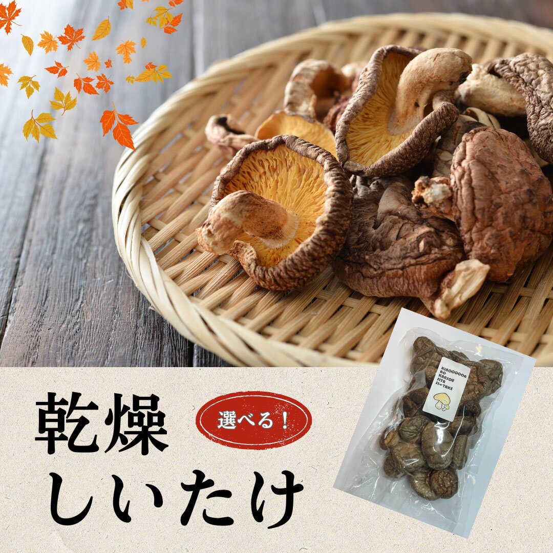 大分県産 しいたけ 津久見で育てた肉厚乾燥しいたけ 選べる 30g~60g / 1袋~4袋　|　津久見市 干し椎茸 菌床しいたけ シイタケ きのこ 乾物 大分県 九州 国産 産地直送 送料無料 【創造工房】