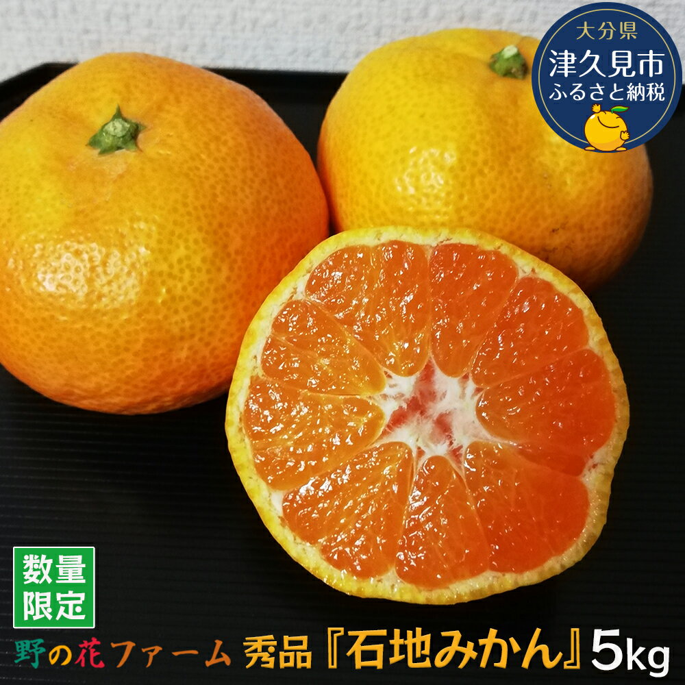 【先行予約】野の花ファーム 秀品 石地みかん 5kg ミカン オレンジ 蜜柑 フルーツ 旬 果物 くだもの 大分県産 九州産 津久見市 国産 送料無料