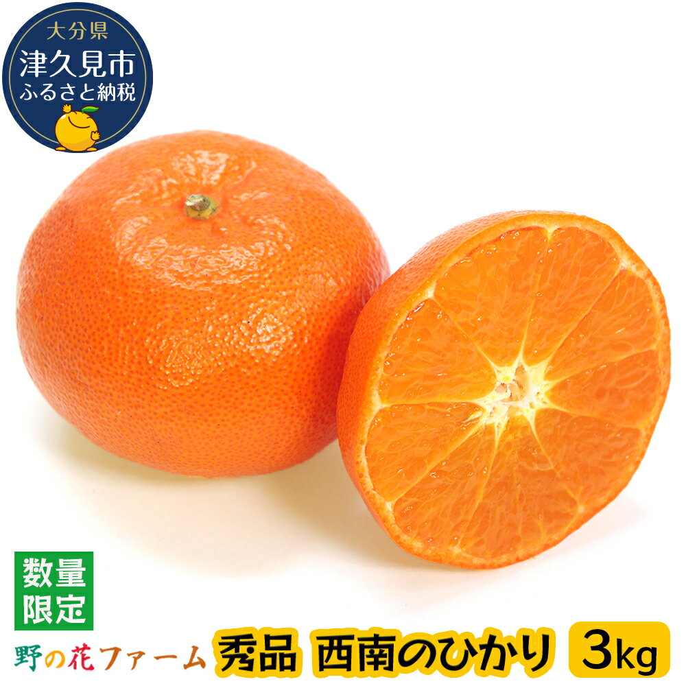 【先行予約】野の花ファーム 秀品 西南のひかり 3kg みかん ミカン オレンジ 柑橘類 大分県産 九州産 津久見市 国産 送料無料
