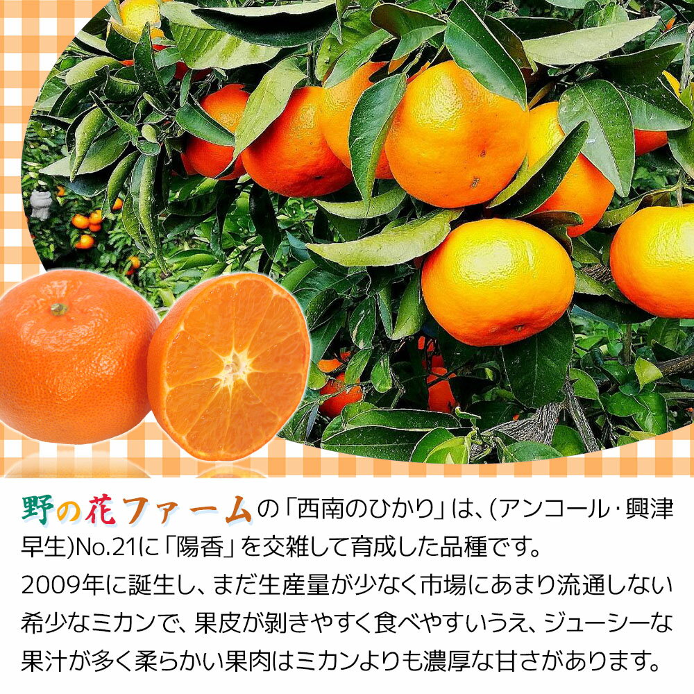 【ふるさと納税】【先行予約】野の花ファーム 秀品 西南のひかり 3kg みかん ミカン オレンジ 柑橘類 大分県産 九州産 津久見市 国産 送料無料 サムネイル2