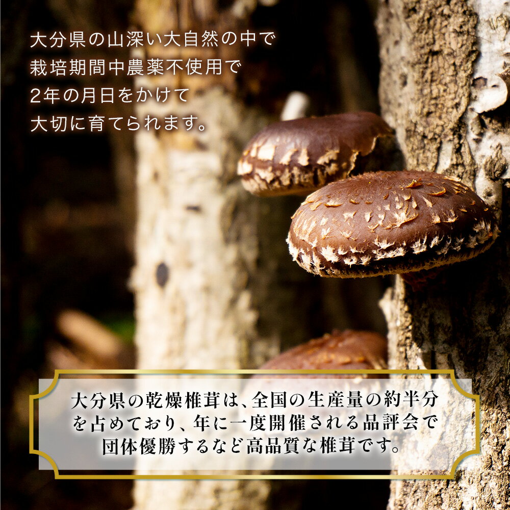 【ふるさと納税】乾燥椎茸 国産 訳あり 小粒どんこ 50g×10パック | しいたけ シイタケ 大分県 九州 津久見市 送料無料 - 画像3