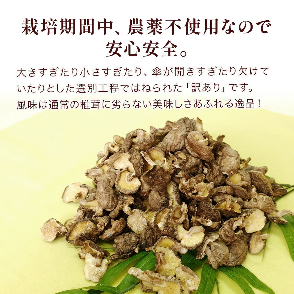 【ふるさと納税】乾燥椎茸 訳あり 椎茸100g×5パック 乾しいたけ 干し椎茸 干ししいたけ 乾燥しいたけ 干しシイタケ 原木 大分県産 九州産 津久見市 国産 送料無料 サムネイル3