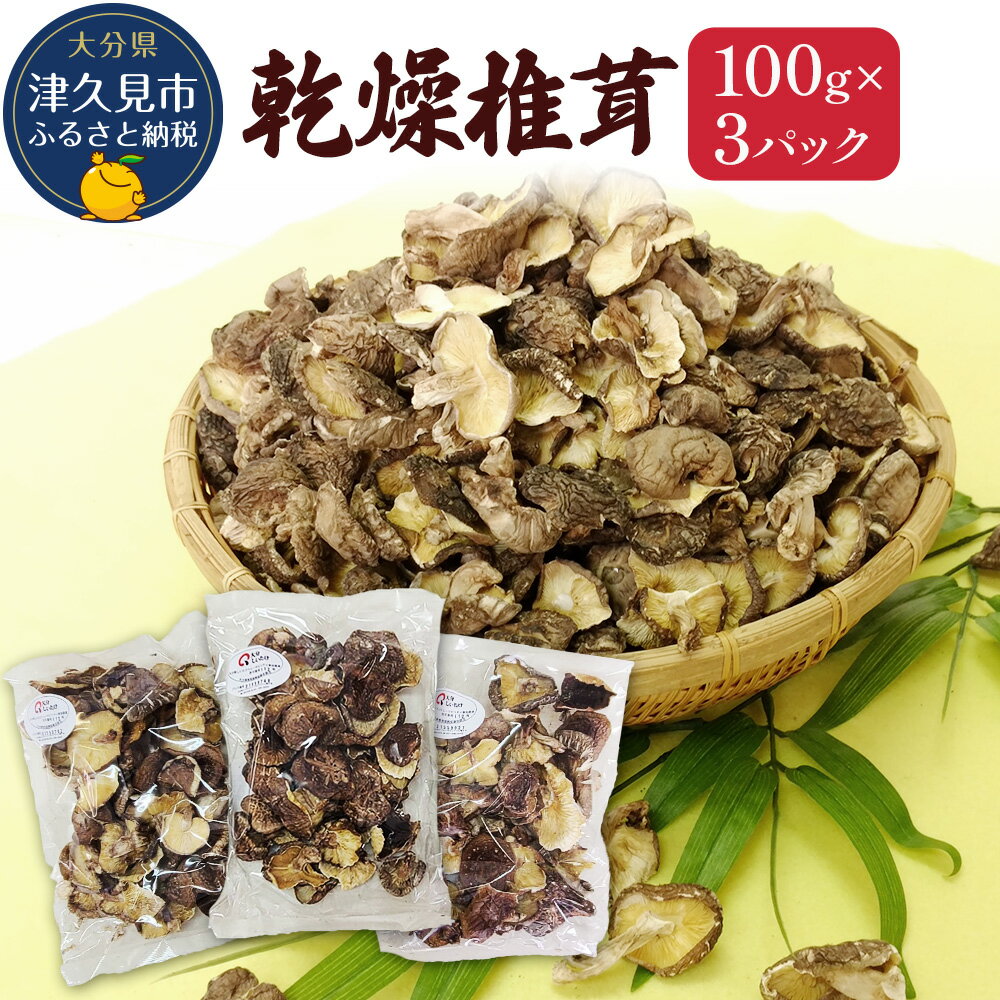 乾燥椎茸 訳あり 椎茸100g×3パック 乾しいたけ 干し椎茸 干ししいたけ 乾燥しいたけ 干しシイタケ 原木 大分県産 九州産 津久見市 国産 送料無料