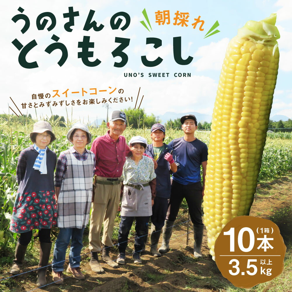 【ふるさと納税】＜ 卯野農場 ＞ 産地直送！生でも美味しい 朝採れ スイートコーン 10本 3.5kg以上 糖度18度 とうもろこし トウモロコシ コーン 野菜 竹田市 大分県 九州産 国産 送料無料【2026年7月上旬-8月下旬発送予定】 - 画像2