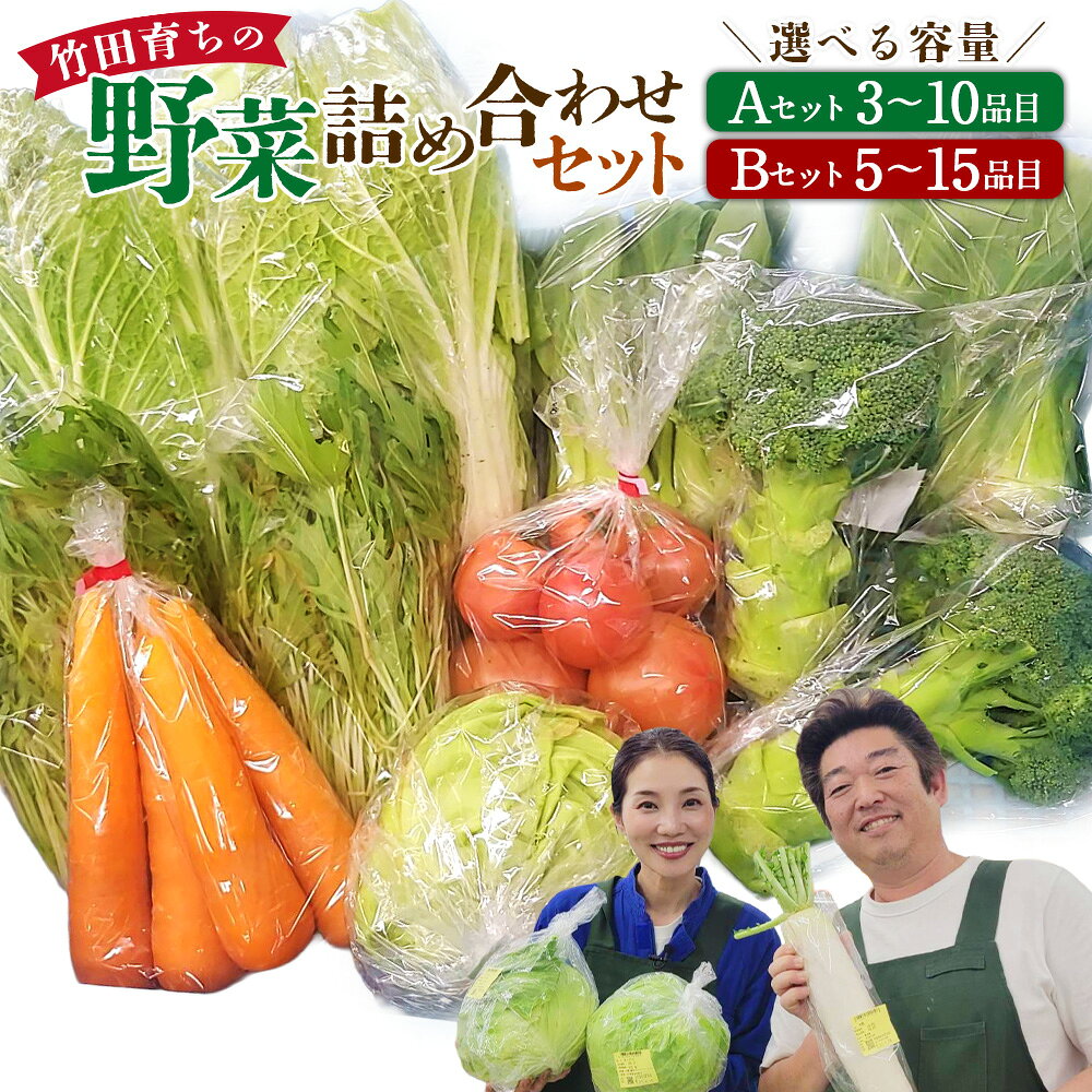 ＜選べる内容量＞その時期の一番美味しいをお届け！竹田育ちの「野菜詰め合わせセット」 A（3～10品目）・B（5～15品目） 大根 キャベツ 白菜 トマト きのこ キノコ 果物 フルーツ 詰め合わせ 大分県産 大分県 竹田市 送料無料
