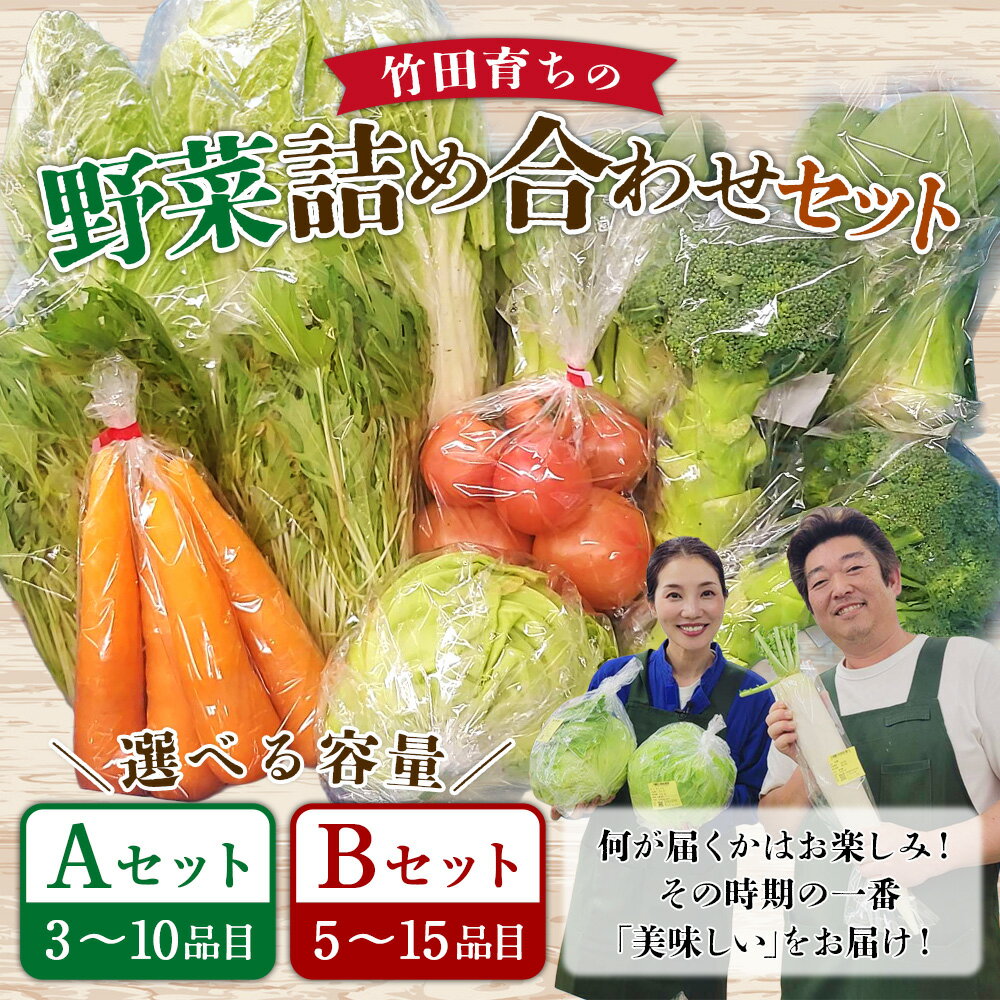 【ふるさと納税】＜選べる内容量＞その時期の一番美味しいをお届け！竹田育ちの「野菜詰め合わせセット」 A（3～10品目）・B（5～15品目） 大根 キャベツ 白菜 トマト きのこ キノコ 果物 フルーツ 詰め合わせ 大分県産 大分県 竹田市 送料無料 - 画像2