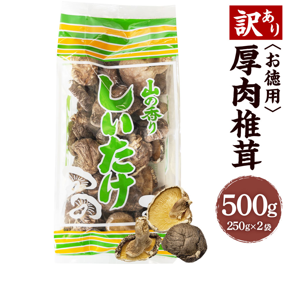 【訳あり】お徳用 厚肉 椎茸 500g （250g×2袋） 椎茸 しいたけ 乾しいたけ 肉厚 大袋 規格外 大分県産 九州産 国産 FPB15 送料無料